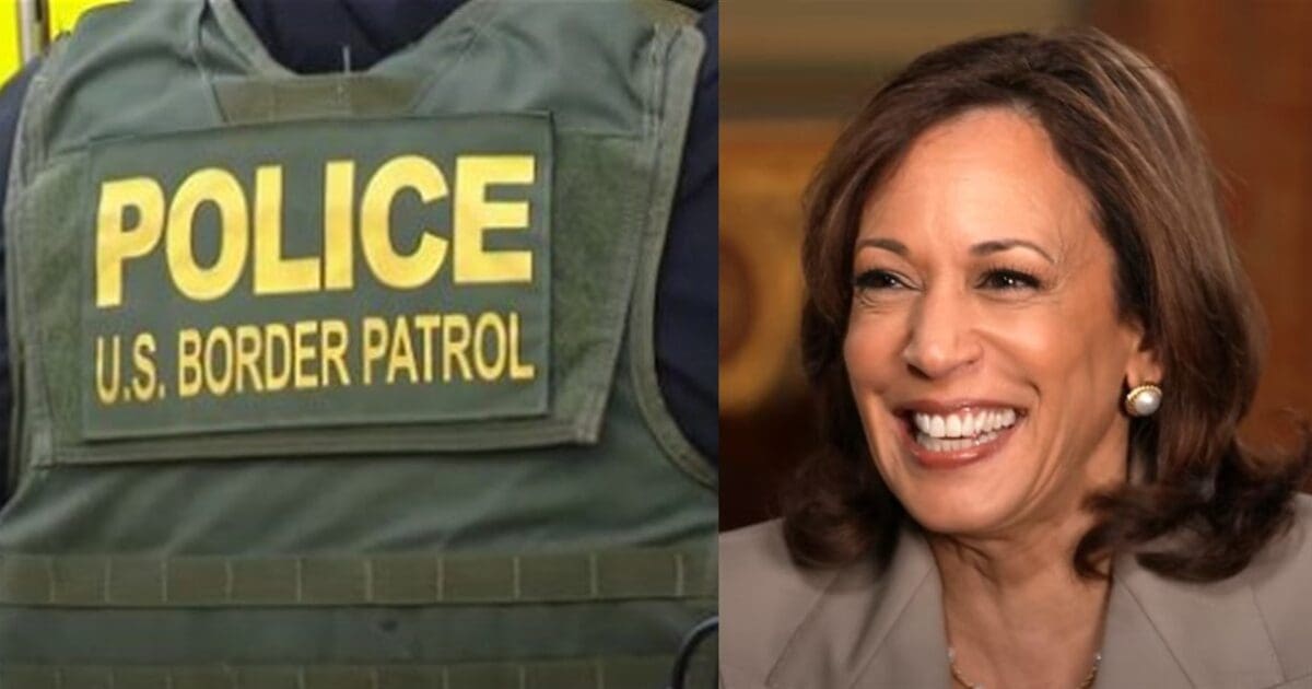 ‘Not doing this s–t again’ – Border Patrol agents threaten to quit if Kamala wins