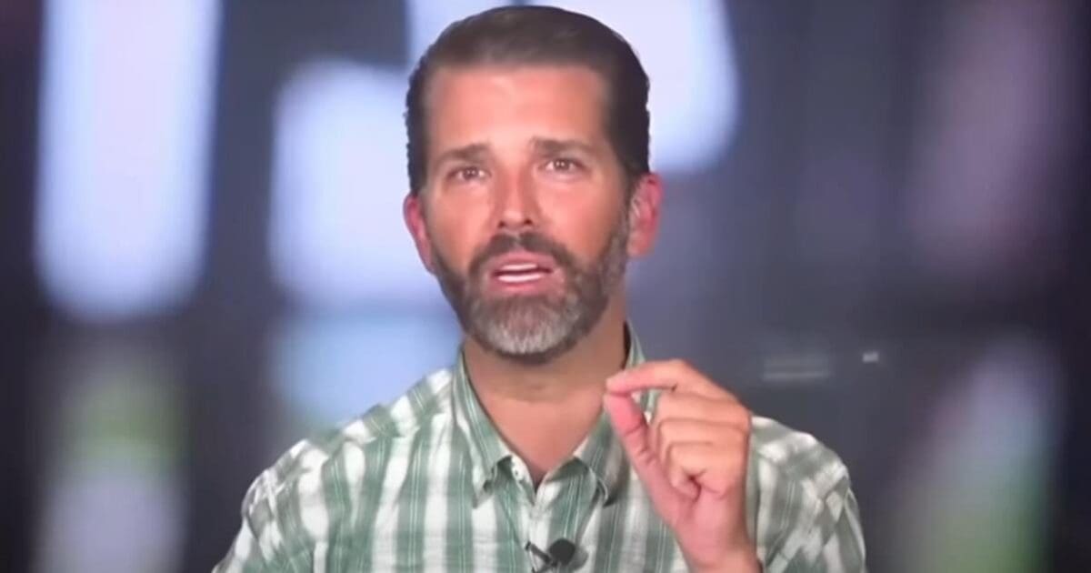 Leftists rage over whispers of ‘The Apprentice’ reboot featuring Don Jr.