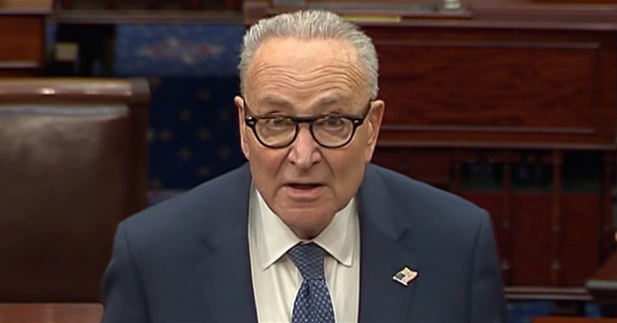 Sore-loser Schumer says ‘nobody respects’ ICE or Border Patrol after GOP scores a big win