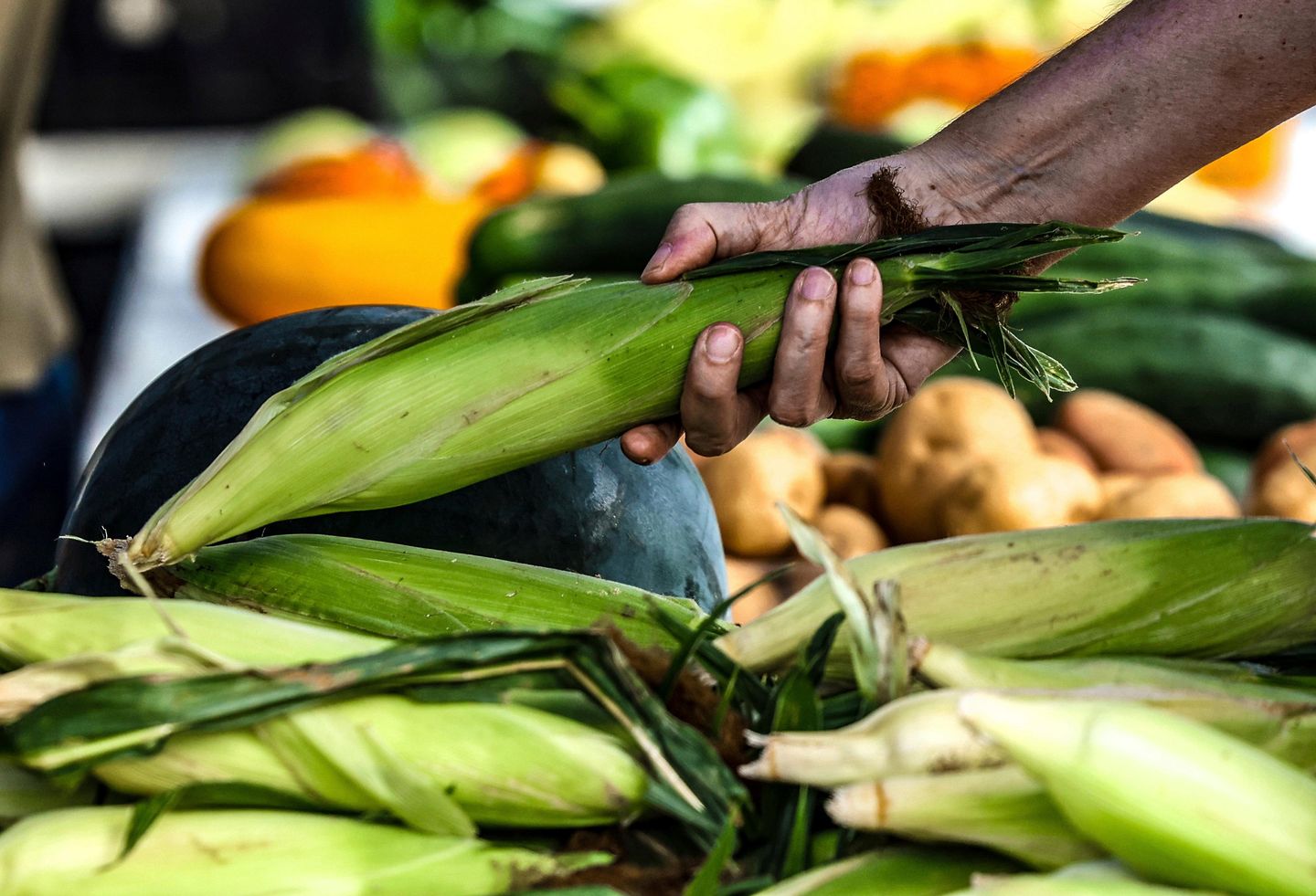 Iranian official trashes talk of buying U.S. farm products, underscoring tensions with Washington