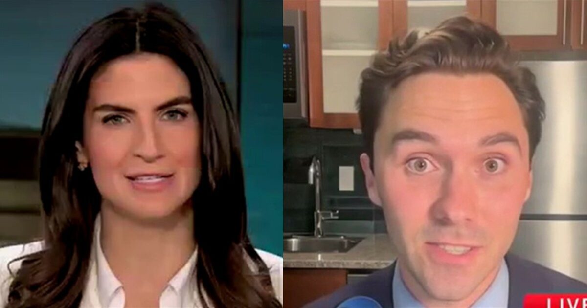 Former DNC vice chair David Hogg tells moderates they’re not welcome in Dem Party ‘big tent’