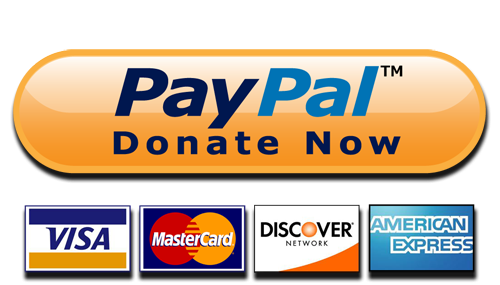 paypal-donate-button-high-quality-png.png